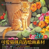 可爱猫咪动物油画装饰画高清软装绘画临摹图片素材26张 3.63G