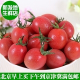 新发地生鲜海南小番茄 千禧圣女果2斤新鲜水果清甜脆京津冀包邮