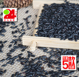 广西巴马特产黑粘米500g 农家有机粘米百岁老人丝苗米黑米满包邮