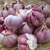 贵州农家种新鲜红皮蒜头腌泡腊八蒜有机紫皮大蒜头红皮纯种调味品