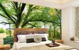 现代电视机背景墙墙纸 客厅沙发壁纸大树森林风景3D墙布大型壁画