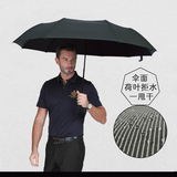 清仓条纹太阳伞韩国晴雨伞折叠超大10骨黑胶防紫外线双人三折伞男
