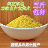 5件包邮！东北黑龙江特产农家自产大黄米  黏黄米500g真空包装