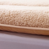 暖双人1.5m1.8/1.2米羊毛床褥子垫被羊羔绒床垫榻榻米加厚冬季保