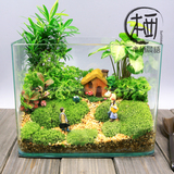 送女友生日礼物苔藓微景观生态缸diy创意桌面小盆栽玻璃植物盆景