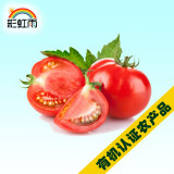 彩虹雨 北京 新鲜青菜有机蔬菜西红柿番茄500g 京津冀满百包邮
