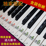 音煌 钢琴电子琴贴纸 彩色字透明贴纸 五线谱键盘贴简谱贴纸 套装
