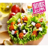 新鲜蔬菜 蔬菜沙拉 送酱 密封包装 600g【需清洗】江浙沪顺丰包邮
