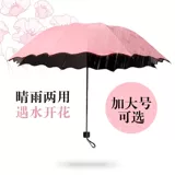 晴雨伞创意遇水开花折叠黑胶防晒防紫外线超大两用遮阳伞太阳伞女