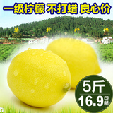 华秧安岳黄柠檬新鲜水果一级小果柠檬切片泡水榨汁酸味十足5斤装