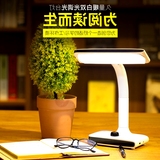 插电充插两用可调节亮度桌面暖光充电式台灯学生书桌卧室床头创意