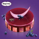 广州哈根达斯冰淇淋蛋糕配送 生日蛋糕速递 蓝莓之吻 美味的享受