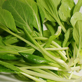南京农家自种新鲜有机嫩鸡毛菜小青菜秧特价5.99一斤绿色蔬菜