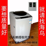大容量Littleswan/小天鹅 TB65-GT3068H投币洗衣机商用限时打折