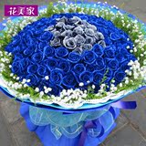 99朵蓝色妖姬玫瑰花束北京杭州鲜花速递同城西安成都济南花店送花