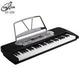 54键XY219仿钢琴键标准键成人儿童初学入门专业教学新韵219电子琴