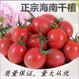 正宗海南陵水千禧圣女果  樱桃番茄   小番茄   新鲜水果7斤