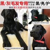 狗狗沐浴露黑毛泰迪灰贵宾黑色拉布拉多沐浴露专用浴液香波800ml