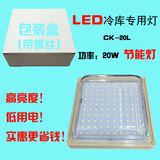 LED冷库灯CK-20L冷库节能灯低温照明灯具防水防潮20W冷库专用灯