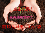 盆栽花卉蔬菜通用营养土椰粉砖君子兰蝴蝶兰专用家庭种植