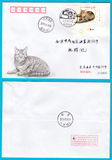 2013-17（4-1）中国狸花猫邮票 手绘封 首日实寄封