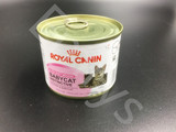 【Emrys】法国原装ROYAL CANIN皇家离乳期幼猫奶糕罐头 195G