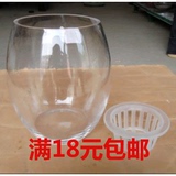 鹅蛋水培玻璃花瓶/透明宜家风格小水培器皿花器