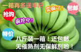 新鲜香蕉、广西香蕉、绿色自然熟无保鲜剂催熟剂香蕉包邮