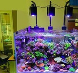 HISEA LED 珊瑚灯海水缸 鱼缸ed灯 Hisea A1 A2 LED灯 海水神灯