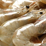 獐子岛 原产地厄瓜多尔白虾1.8kg  南美进口新鲜海鲜冷冻海虾