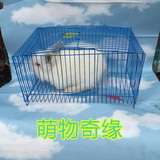 热卖仓鼠运输盒 兔子荷兰猪运输笼 乌龟盒发货必备运输笼 可批发