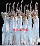 成人白色舞蹈演出服现代芭蕾舞裙飘逸 青春现代舞蹈舞台表演服装