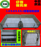 小猪保育床仔猪保育栏设备 加厚双体仔猪保育猪产床 定位栏