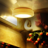 朗美科LED小夜灯 感应节能电池创意光控卧室衣橱柜灯过道镜前灯具