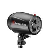 金贝 DII-250W 数码专业闪光灯 证件照 人像 淘宝产品拍摄 摄影灯