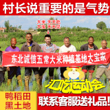 2015年东北黑龙江新米鸭稻田五常稻花香大米 非转基因粳米贡米5kg