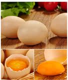 土鸡蛋20枚 正宗杂粮散养野鸡蛋 新鲜农家营养草鸡蛋锌铭东北特产