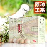 原种 泰和乌鸡蛋 有机认证乌鸡蛋 农家散养土鸡蛋 礼盒装30个