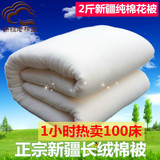 新疆棉被2斤 长绒棉花被被芯棉胎学生被夏凉空调被包邮亏本一天