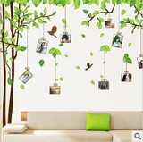 包邮照片树自粘墙贴 客厅卧室书房墙面背景装饰贴纸 教室布置贴画