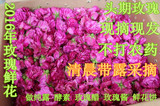 2016年玫瑰鲜花平阴食用玫瑰可制作玫瑰纯露 玫瑰酱 酵素1斤