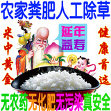 新米东北黑龙江五常稻花香大米生态米非转基因大米自产自销