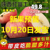 陕西洛川苹果纯天然新鲜水果礼泉红富士原生态农家苹果10斤包邮