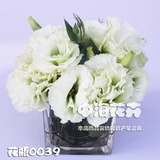 北京鲜花店配送宴会桌花年会签到台鲜花花瓶0039餐桌艺术鲜花