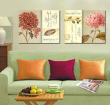 客厅装饰画欧式抽象花卉现代简约无框画两联挂画餐厅卧室墙画定制