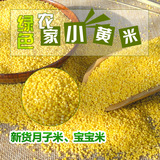农家黄小米粥 天然月子米小黄米2015新米 宝宝米粟米五谷杂粮250g