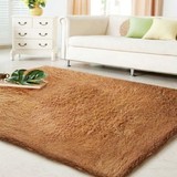 正品丝毛地毯卧室客厅茶几床边毯 地垫门垫满铺地毯定制 特价
