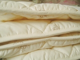 外贸床品出口加厚床垫学生单人1.0米床褥床护垫防潮抗菌防螨促销