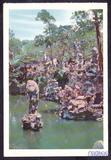 【邮趣99】五十年代明信片-苏州园林狮子林p38（1219）
