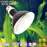 UVB全光谱爬虫太阳灯陆龟补钙水草植物生长灯多肉植物补光灯超LED